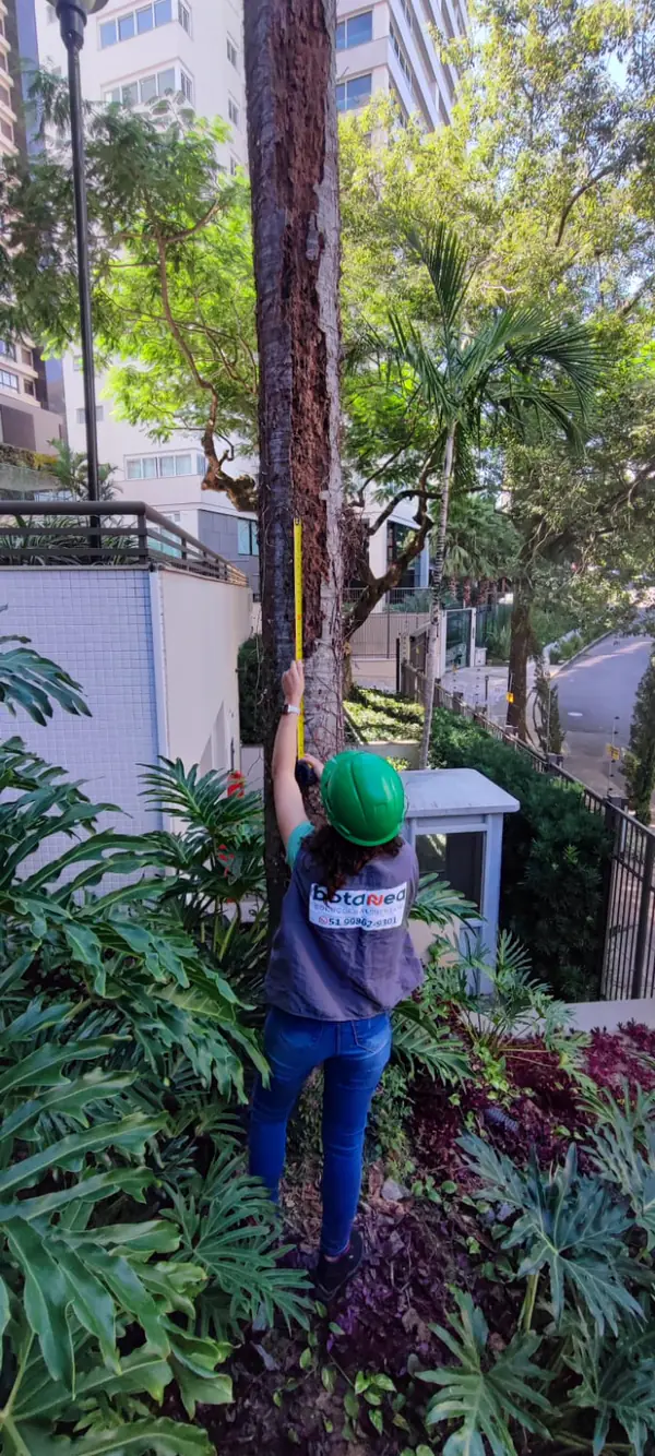 Bióloga da Botanea realizando laudo de poda em condomínio