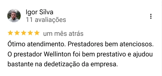 Avaliação de Igor Silva no Google sobre a dedetização da empresa feita pela Botanea