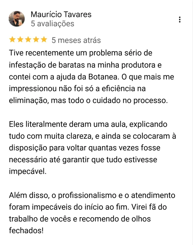 Avaliação de Maurício Tavares no Google sobre a clareza técnica e o acompanhamento da Botanea