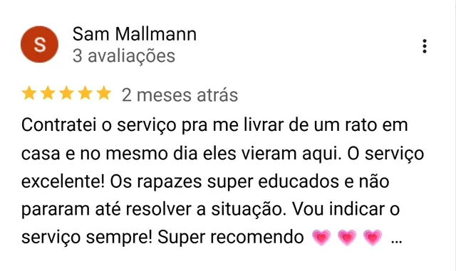 Avaliação de Sam Mallmann no Google: rato em casa resolvido no mesmo dia pela Botanea