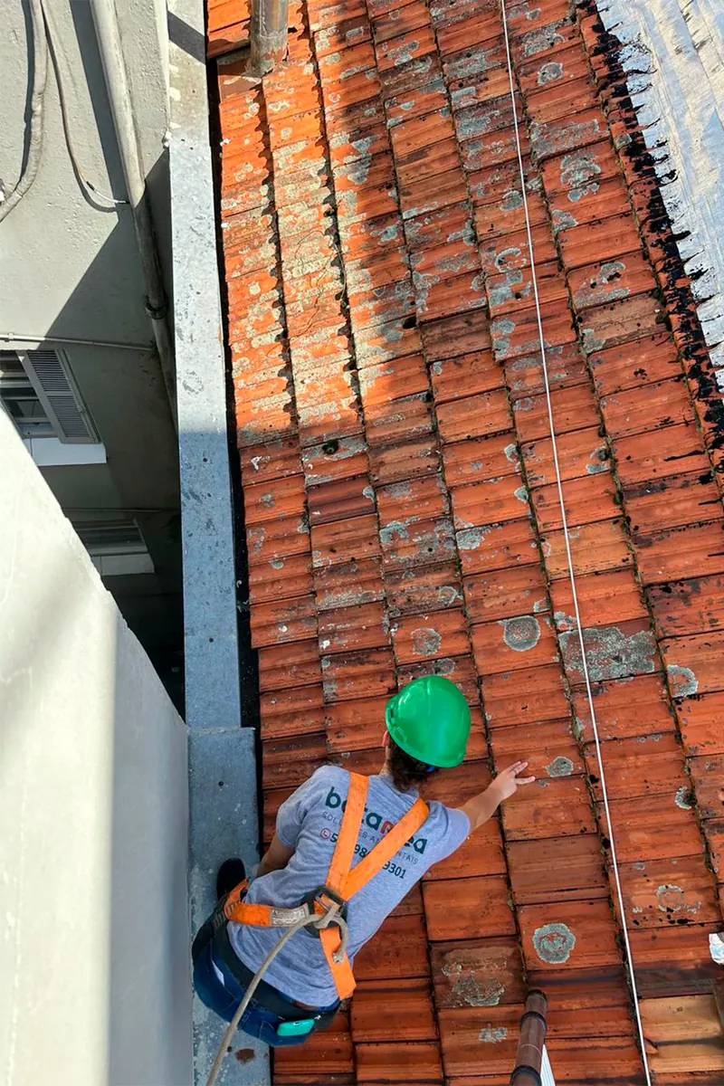 Técnica da Botanea em manejo de telhado com equipamento de segurança